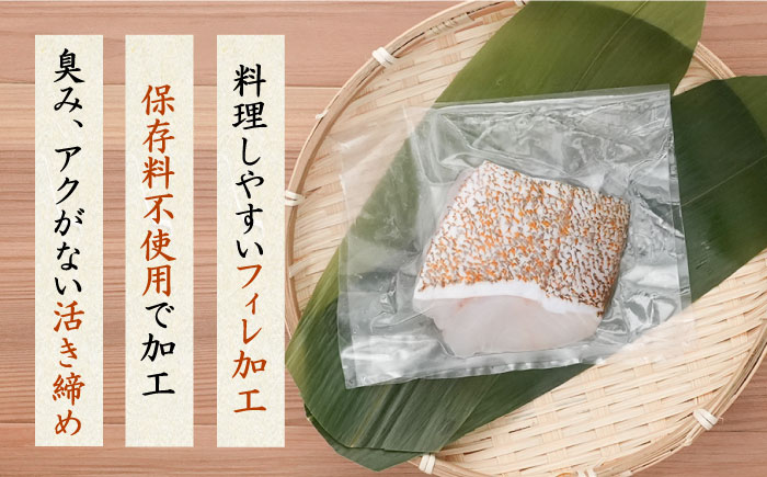 【ANA限定】アカハタ 、イサキ 4人前 壱岐玄海船団丸の魚（切り身）セット ～ANAシェフ洋食レシピ付き～ [JFC006] 海産物