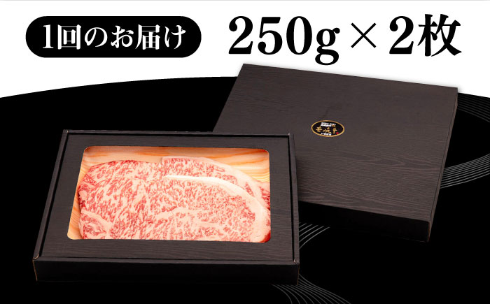 【全6回定期便】 壱岐牛 サーロインステーキ 500g（250g×2枚）《壱岐市》【株式会社イチヤマ】 肉 牛肉 サーロイン ステーキ 焼肉 BBQ [JFE030] 186000 186000円
