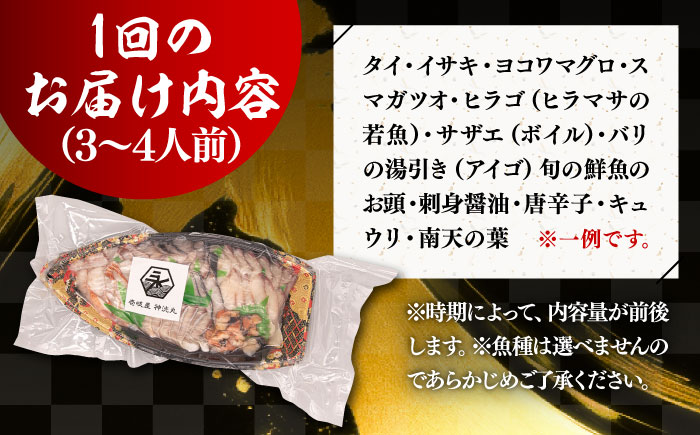 【全12回定期便】 豪快 舟盛り 「永村印の神洸丸大漁舟盛り」 3～4人前《壱岐市》【神洸水産】 刺身 刺し身 海鮮 鮮魚 海産物 [JFI004]