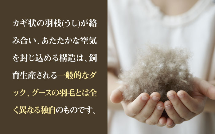 【高島屋選定品】〈富士新幸九州〉シングル アイダー掛けふとん シルク100％×アイスランドアイダー ダウン95％ 《壱岐市》 羽毛 寝具 羽毛布団 アイダー [JFJ012]   350万 3500000 3500000円 350万円