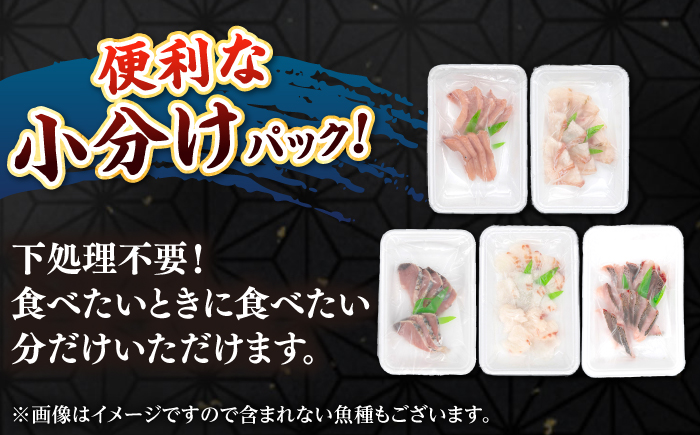【全2回定期便】 【勝本漁港直送】壱岐島の刺身盛りセット ≪壱岐市≫【あかりや】 冷凍配送 刺身 小分け 産地直送 22000円 お刺身 刺し身 寿司 海鮮 [JFO005]