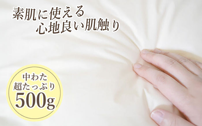 【先行予約】アルファイン・肌掛け布団【シングル：150×210cm】（KIK0042S）【2026年1月上旬以降順次発送】《壱岐市》【くじめ屋】 [JFU013]