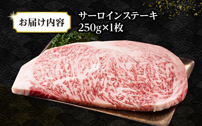 【A4～A5ランク】長崎和牛 サーロインステーキ 250g（250g×1枚）《壱岐市》【株式会社MEAT PLUS】 肉 牛肉 黒毛和牛 ステーキ ご褒美 ギフト 贈答用 ご褒美 冷凍配送 A4 A5 [JGH023]