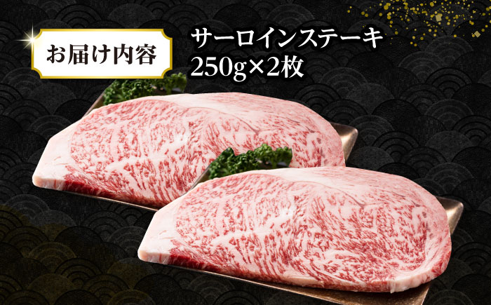 【A4～A5ランク】長崎和牛 サーロインステーキ 500g（250g×2枚）《壱岐市》【株式会社MEAT PLUS】 肉 牛肉 黒毛和牛 ステーキ ご褒美 ギフト 贈答用 ご褒美 冷凍配送 A4 A5 [JGH024]