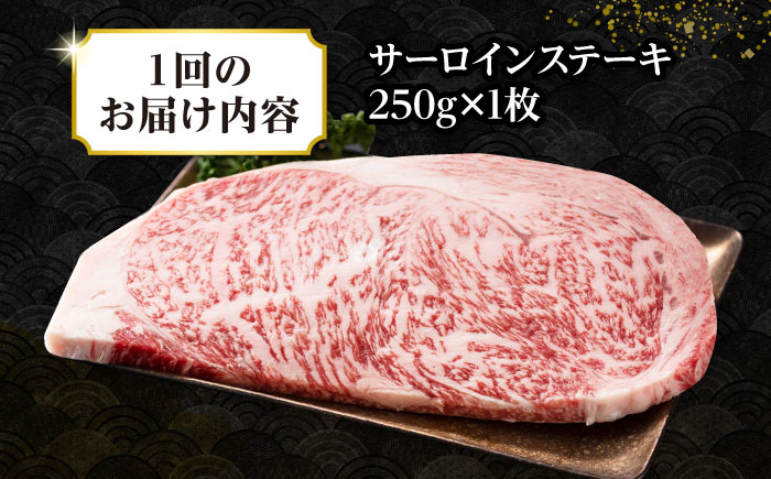 【全3回定期便】【A4～A5ランク】長崎和牛 サーロインステーキ 250g（250g×1枚）《壱岐市》【株式会社MEAT PLUS】 肉 牛肉 黒毛和牛 サーロイン ステーキ ご褒美 ギフト 贈答用 ご褒美 冷凍配送 A4 A5 [JGH124]