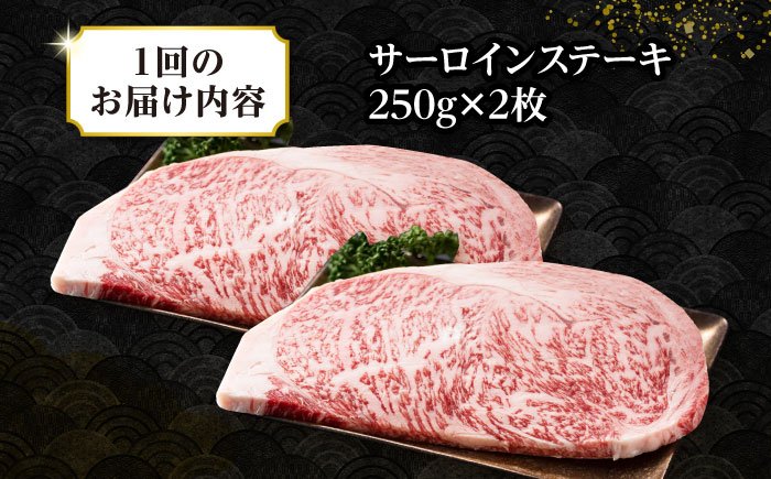 【全12回定期便】【A4～A5ランク】長崎和牛 サーロインステーキ 500g（250g×2枚）《壱岐市》【株式会社MEAT PLUS】 肉 牛肉 黒毛和牛 サーロイン ステーキ ご褒美 ギフト 贈答用 ご褒美 冷凍配送 A4 A5 [JGH130]