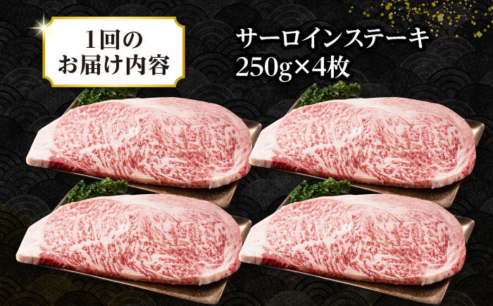 【全2回定期便】【A4～A5ランク】長崎和牛 サーロインステーキ 1kg（250g×4枚）《壱岐市》【株式会社MEAT PLUS】 肉 牛肉 黒毛和牛 サーロイン ステーキ ご褒美 ギフト 贈答用 ご褒美 冷凍配送 A4 A5 [JGH131]