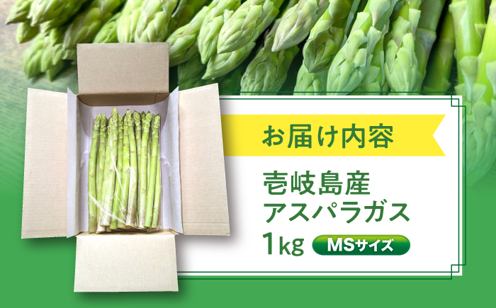 【先行予約】【アスパラガス専門農家が作る！】壱岐産アスパラガス1kg(MSサイズ)【2026年3月以降順次発送】≪壱岐市≫【きたじま農園】国産 冷蔵配送 産地直送 朝採れ 新鮮 [JGI004]