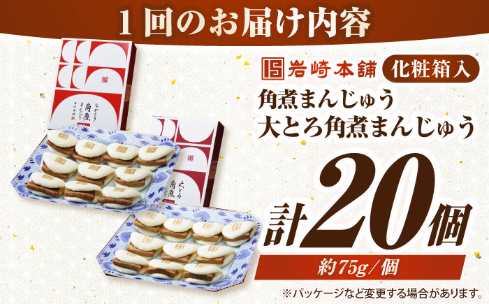 【全6回定期便】長崎角煮まんじゅう10個(箱)・大とろ角煮まんじゅう10個(箱)《壱岐市》【岩崎本舗】冷凍 豚 豚角煮 角煮饅頭 簡単調理 お取り寄せ [JHA004]