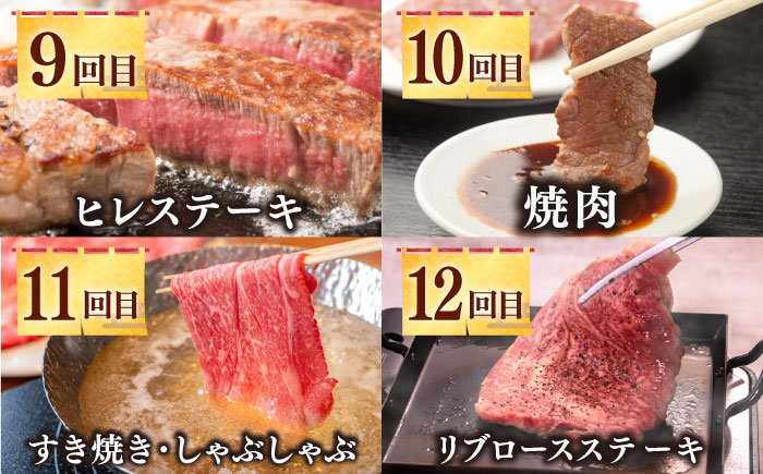 【全12回定期便】《50万》 壱岐牛＆長崎和牛 ギュギュギュ 定期便 （壱）《壱岐市》 肉 ステーキ 焼肉 しゃぶしゃぶ すき焼き 赤身 [JZX010]