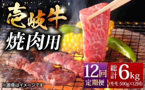 【全12回定期便】壱岐牛焼き肉セット 500g [JCG056]