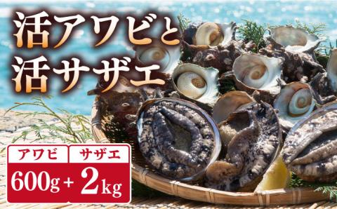 活 アワビ 600g サザエ 2kg セット 《壱岐市》【丸和水産】[JCJ003] 46000 46000円
