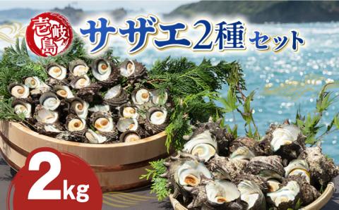 サザエ 2kg セット 《壱岐市》【マルショウ水産】[JBB002] 25000 25000円