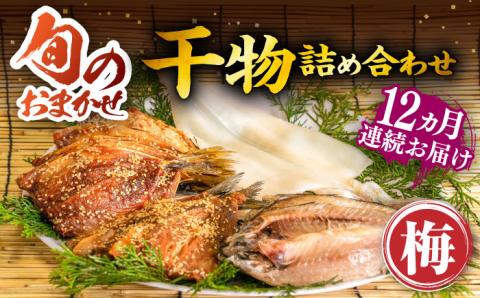 【全12回定期便】ひものや つかもとの旬のおまかせ干物詰め合わせ《梅》 [JDR011] 干物 ひもの みりん干し おまかせ 詰め合わせ アジ あじ いわし イワシ イカ 200000 200000円 20万円