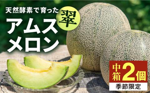 【先行予約】アムスメロン 翠 2個入り【2026年6月中旬以降順次発送】 《壱岐市》【フレッシュメイト壱岐】[JAZ004] 果物 くだもの 果実 フルーツ 13000 13000円