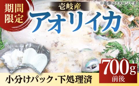 アオリイカ 700g前後 《壱岐市》【ヤマグチ】[JCG018] いか あおりいか 16000 16000円