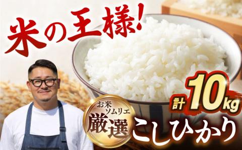 【R6年度産】こしひかり 10kg 《壱岐市》 【長米壱岐営業所】[JCZ019] ごはん ご飯 こしひかり コシヒカリ 31000 31000円