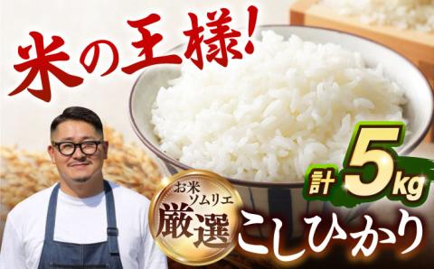 【R6年度産】こしひかり 5kg《壱岐市》 【長米壱岐営業所】[JCZ021] ごはん ご飯 こしひかり コシヒカリ 17000 17000円