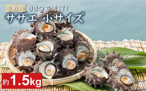 サザエ さざえ 約1.5kg Bサイズ(60g～100g/個) 壱岐市 【マルショウ水産】 [JBB005] 17000 17000円