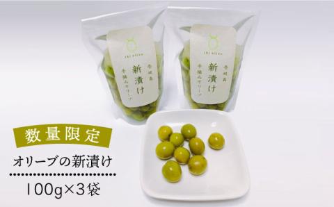 【数量限定】オリーブの新漬け（100g × 3袋） [JDU008] オリーブ おつまみ  17000 17000円