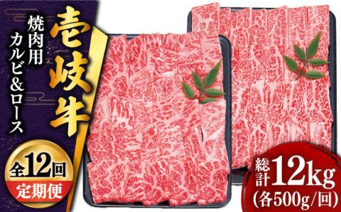 【全12回定期便】壱岐牛 焼肉 （ロース・カルビ）各500g《壱岐市》【土肥増商店】[JDD017]肉 牛肉 焼き肉 カルビ ロース BBQ 赤身