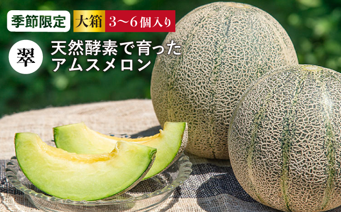 【先行予約】アムスメロン 翠 大箱 3~6個入り 【2026年6月中旬以降順次発送】《壱岐市》【フレッシュメイト壱岐】[JAZ005] 20000 20000円