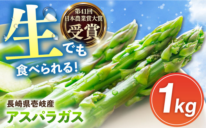 【先行予約】野菜 アスパラガス 壱岐産 1kg（L~2Lサイズ）【2026年3月以降順次発送】《壱岐市》【壱岐市農業協同組合】[JBO004] アスパラ 14000 14000円