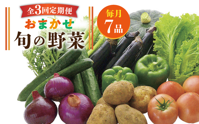 【全3回定期便】旬の野菜セット 7品 [JBO044] 野菜 やさい 旬 セット 詰め合わせ 30000 30000円