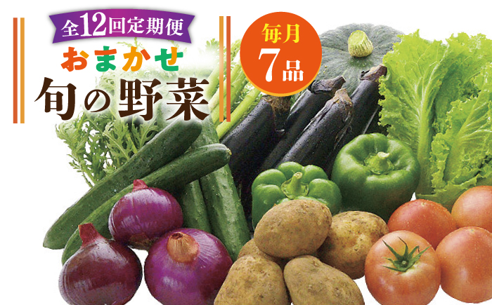 【全12回定期便】旬の野菜セット 7品 [JBO046] 野菜 やさい 旬 セット 詰め合わせ   100000 100000円 10万円