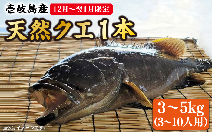 【12月～翌年1月限定】 天然 クエ 丸もの 1本 3～5kg（鍋・刺身 5～10人用）  《壱岐市》【丸和水産】 [JCJ024] 134000 134000円