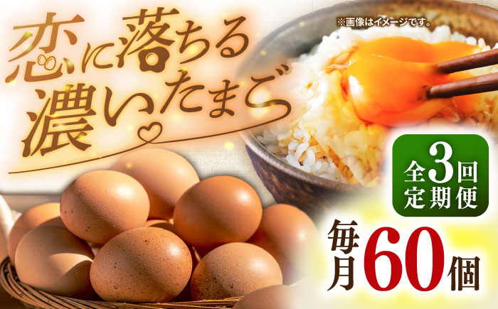 【全3回定期便】特選素直な恋たまご60個入り[JAP003] たまご 60個 鶏卵 玉子 大容量 国産 もみじ 卵かけご飯 たまごかけご飯 すき焼き 目玉焼き 39000 39000円