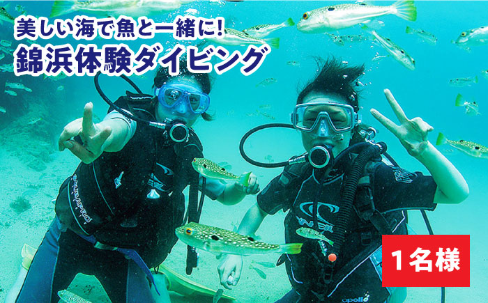 ダイビング  体験  錦浜 《壱岐市》【シーガルイン】[JAB002] 旅行 海 アウトドア ダイビング 33000 33000円