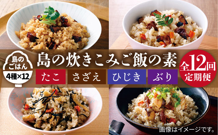 【全12回定期便】島の炊き込みご飯の素 炊き込みご飯 たき込みご飯 たこ さざえ ひじき ブリ セット 詰め合わせ 定期便 [JAH070] 132000 132000円