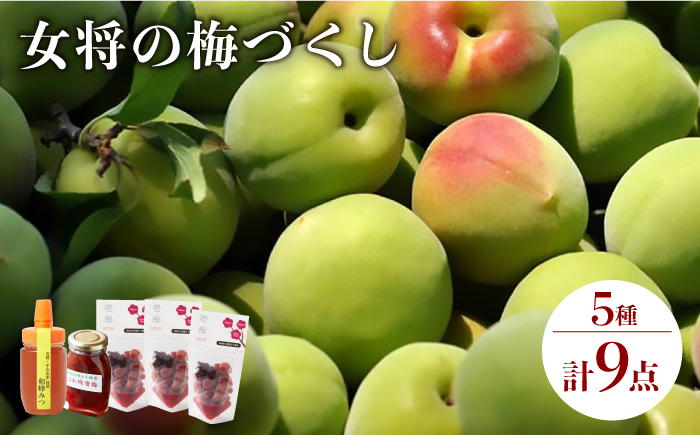 梅干し ハチミツ梅 生はちみつ 女将の梅づくし 《壱岐市》【平山旅館壱岐もの屋】[JAI006] 25000 25000円
