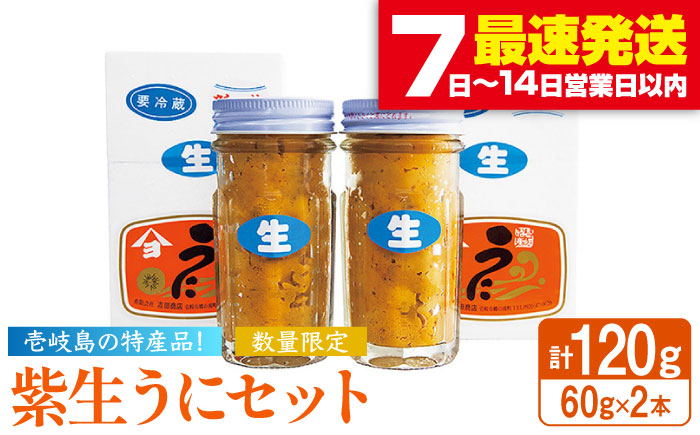 壱岐の島特産 生うにセット 60g 2個 《壱岐市》【吉田商店】ウニ 生ウニ   [JAK001] 29000 29000円
