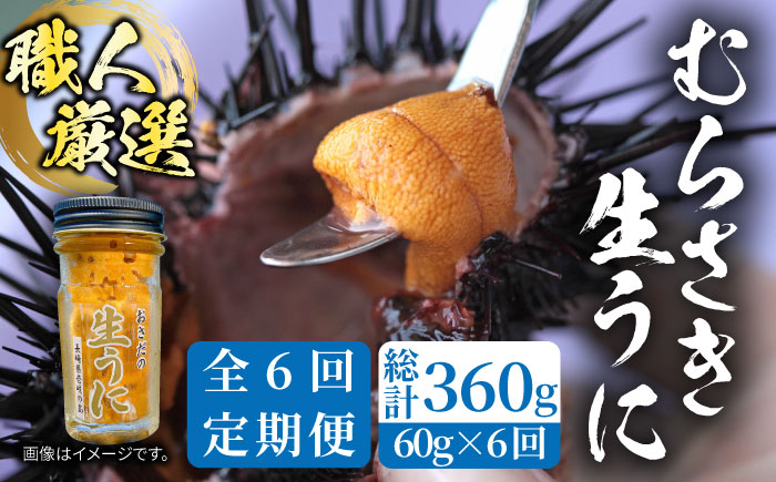 【全6回定期便】壱岐島産 老舗の厳選 おさだの生うに 60g×1本 [JAO037] 100000 100000円 10万円