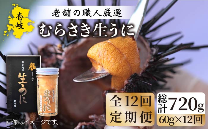 【全12回定期便】壱岐島産 老舗の厳選 おさだの生うに 60g×1本 [JAO038]