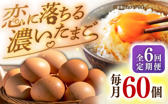 【全6回定期便】特選素直な恋たまご60個入り[JAP004] たまご 60個 鶏卵 玉子 大容量 国産 卵かけご飯 たまごかけご飯 すき焼き 78000 78000円