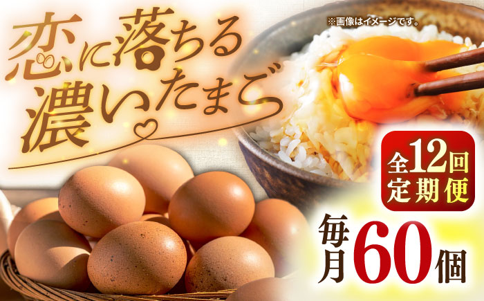 【全12回定期便】特選素直な恋たまご60個入り[JAP005] たまご 60個 鶏卵 玉子 大容量 国産 卵かけご飯 たまごかけご飯 すき焼き 目玉焼き 156000 156000円