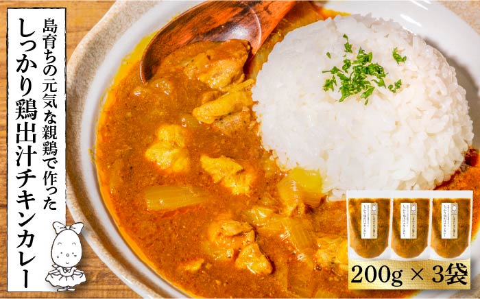 チキンカレー 鶏 200g × 3袋 島育ちの元気な親鶏で作った「しっかり鶏出汁 チキン カレー 」《壱岐市》【しまのたまご屋さん】[JAP007]  総菜・レトルト 14000 14000円