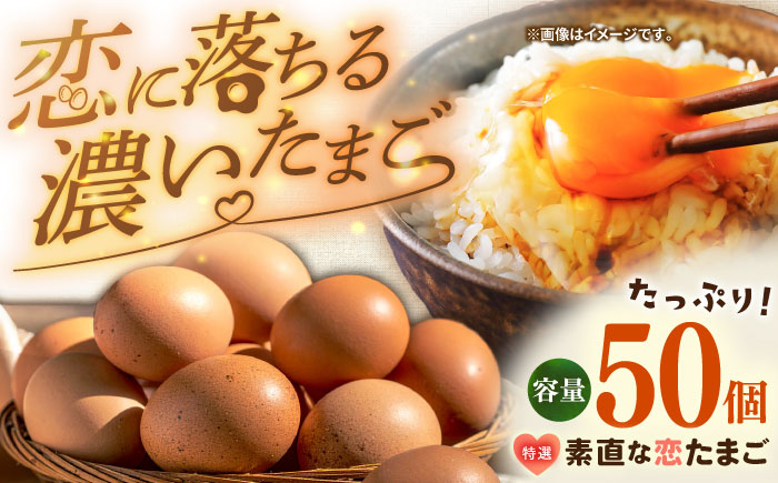 特選 素直な恋たまご 50個 《壱岐市》【しまのたまご屋さん】 [JAP017]たまご 玉子 ギフト 国産 たまごかけご飯 のし 卵  [JAP017]