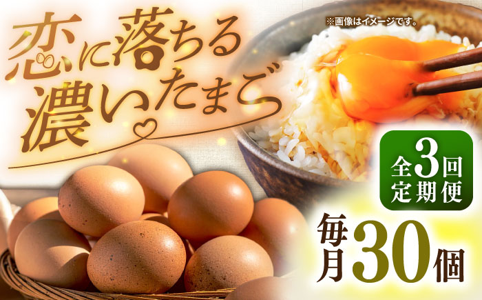 【全3回定期便】特選 素直な恋たまご 30個 《壱岐市》【しまのたまご屋さん】  卵 たまご 鶏卵 玉子 ギフト 国産 卵かけご飯 たまごかけご飯 のし 定期便 [JAP019]