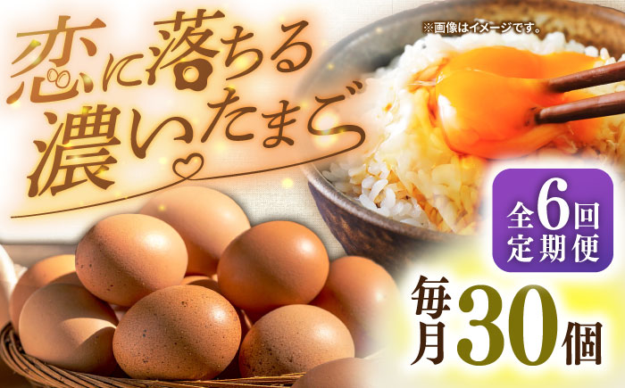 【全6回定期便】特選 素直な恋たまご 30個 《壱岐市》【しまのたまご屋さん】  卵 たまご 鶏卵 玉子 ギフト 国産 卵かけご飯 たまごかけご飯 のし 定期便 [JAP020]