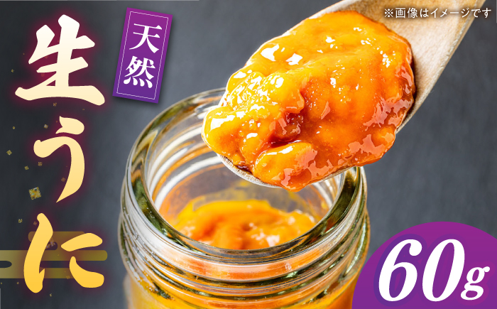 【先行予約】壱岐産 生うに 60g×1本【2026年5月以降順次発送】《壱岐市》【馬渡水産】 雲丹 ムラサキウニ 海鮮 希少 冷蔵配送 [JAQ005]