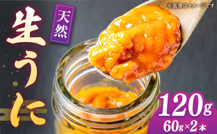 【先行予約】壱岐産 生うに 60g×2本【2026年5月以降順次発送】《壱岐市》【馬渡水産】 ムラサキウニ 海鮮 希少 冷蔵配送 [JAQ010]