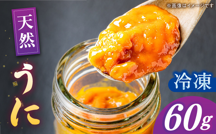 壱岐産 冷凍 生うに 60g×1本《壱岐市》【馬渡水産】雲丹 ムラサキウニ 海鮮 希少 冷凍配送 [JAQ011]