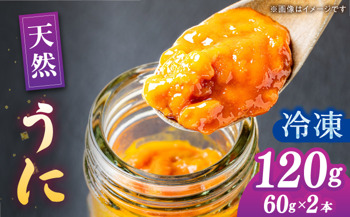 壱岐産 冷凍 生うに 60g×2本《壱岐市》【馬渡水産】雲丹 ムラサキウニ 海鮮 希少 冷凍配送 [JAQ012]