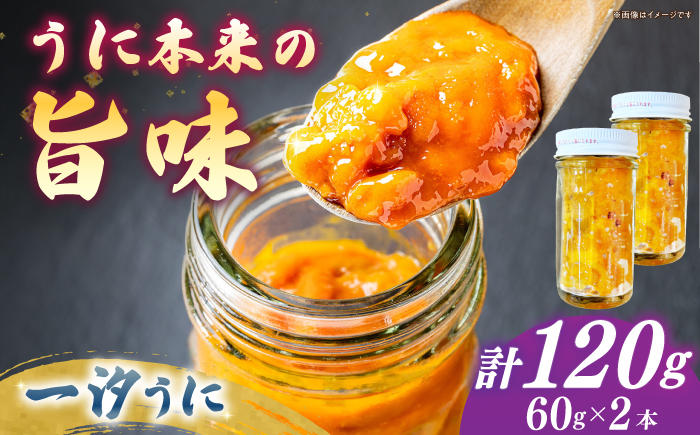 【年内発送】一汐うに 60ｇ×2本 ≪壱岐市≫【馬渡水産】 冷凍配送 雲丹 ご飯に合う 珍味 希少 お取り寄せ ウニ [JAQ014]