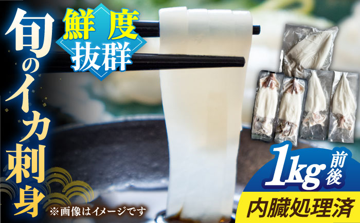 【年内発送】旬のイカ刺身1kg前後《壱岐市》【馬渡水産】イカ いか 烏賊 剣先 アオリ あおり スルメ するめ  海鮮 魚貝 冷凍配送 産地直送 [JAQ027]