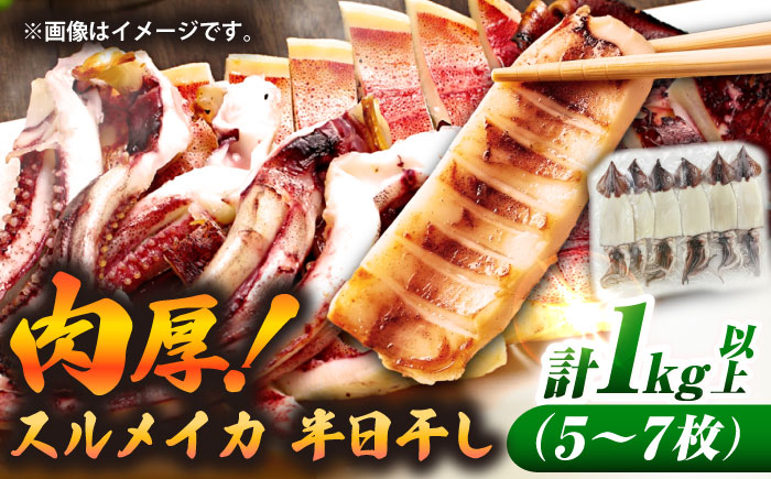 スルメイカ　半日干し 1kg以上 5~7枚《壱岐市》【馬渡水産】 [JAQ029]